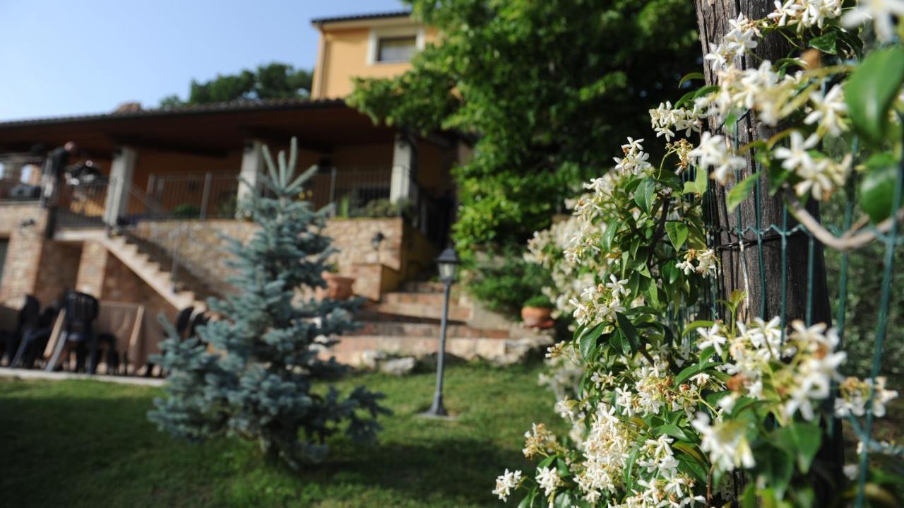 Bed and Breakfast Casafe Tra Sogno E Realta Narni Scalo Exterior foto